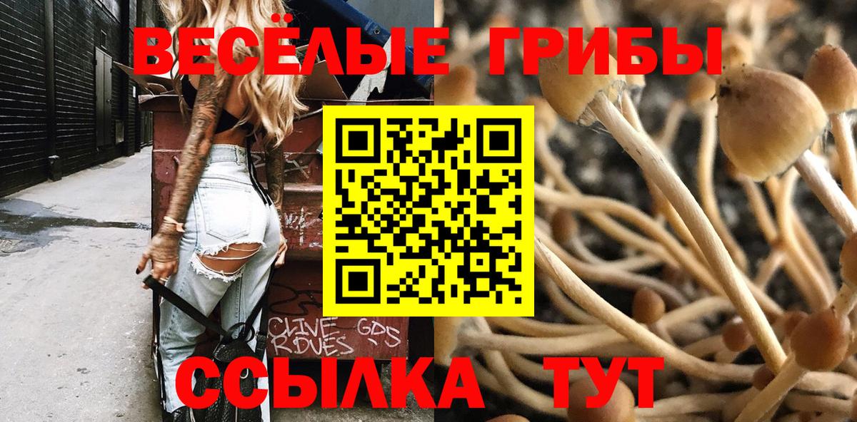 Галлюциногенные грибы прущие грибы  Вход с VPN  Белая Калитва 
